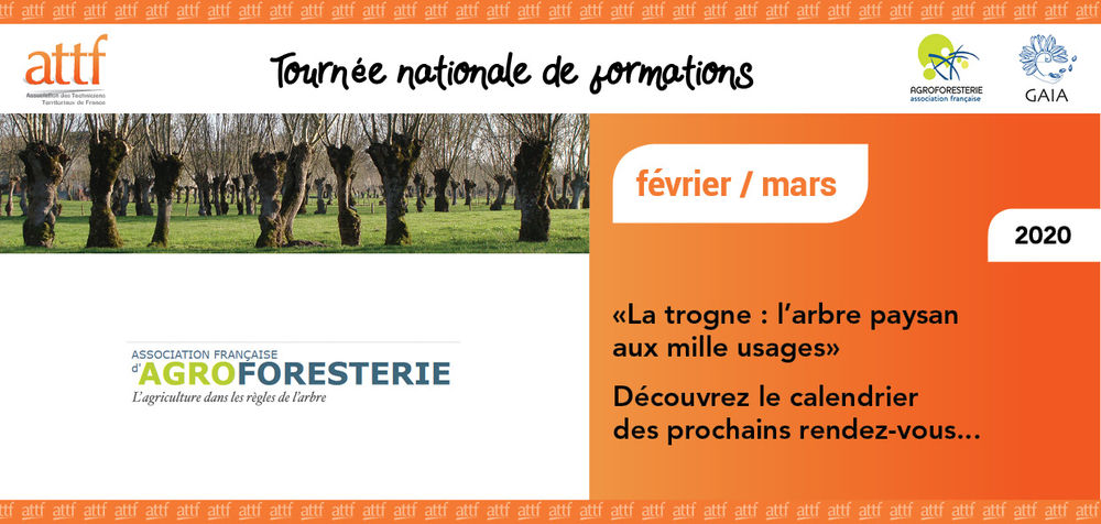 Info de l'association française de l'agroforesterie