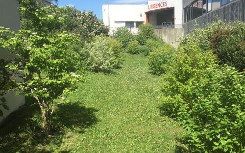 RENCONTRE AUTOUR DU LABEL ÉCOJARDIN écojardin2 - zoom 