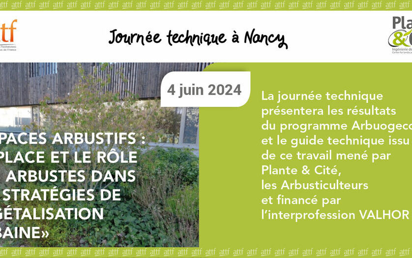 Espaces arbustifs avec Plante&Cité