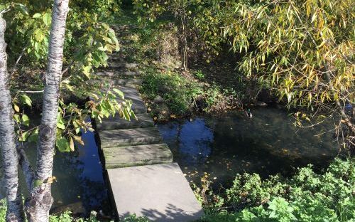 RENCONTRE AUTOUR DU LABEL ÉCOJARDIN écojardin4 - zoom 