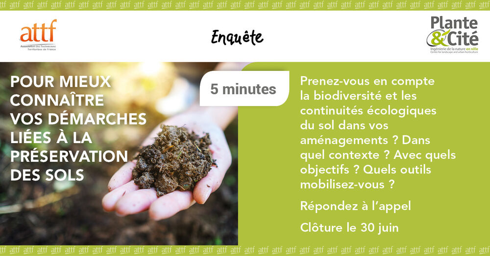 On mène l'enquête