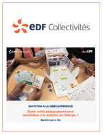 Web conférence EDF Collectivités - 2 juin 2020