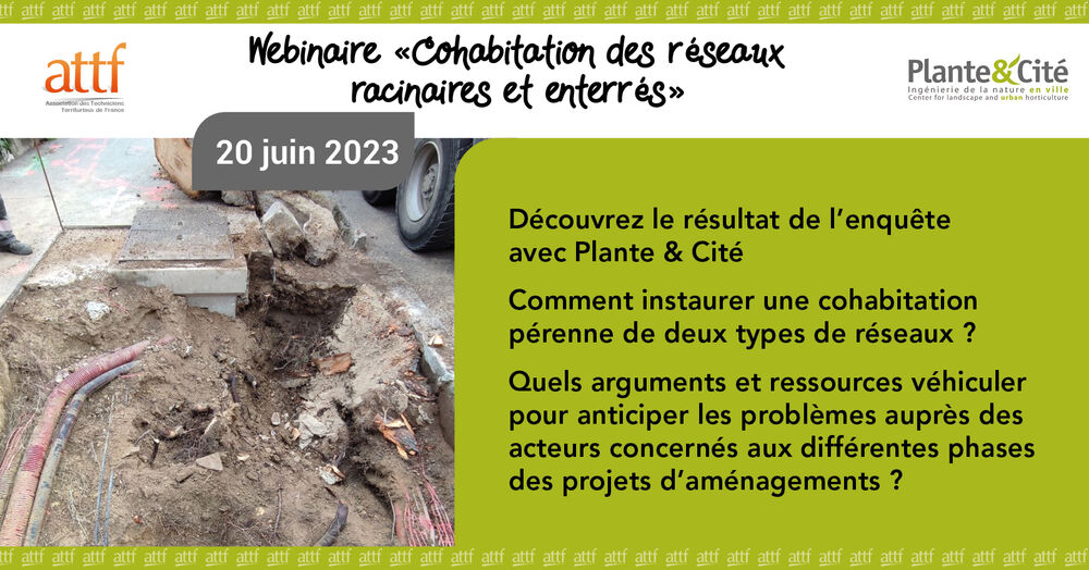 Webinaire Plante & Cité Webinaire Plante & Cité