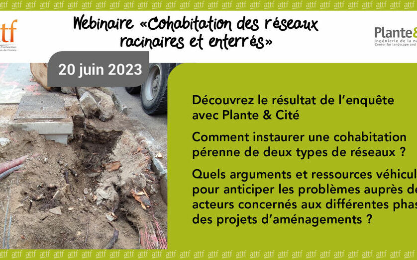 Webinaire Plante & Cité