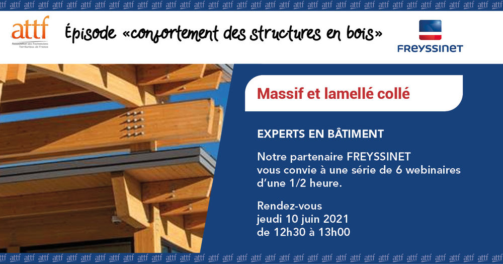 Webinaire Freyssinet / Le confortement des structures en bois Webinaire Freyssinet / Le confortement des structures en bois