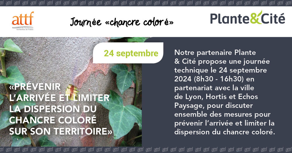 Journée Plante&Cité sur le chancre coloré Journée Plante&Cité sur le chancre coloré