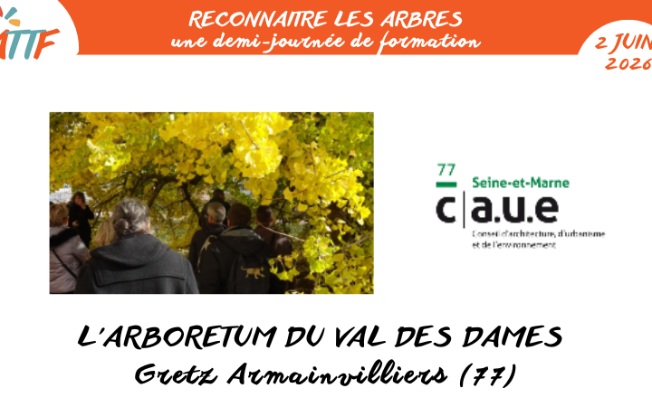 Demi journée formation - Reconnaitre les arbres 