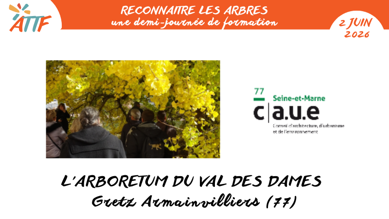 Demi journée formation - Reconnaitre les arbres Demi journée formation - Reconnaitre les arbres