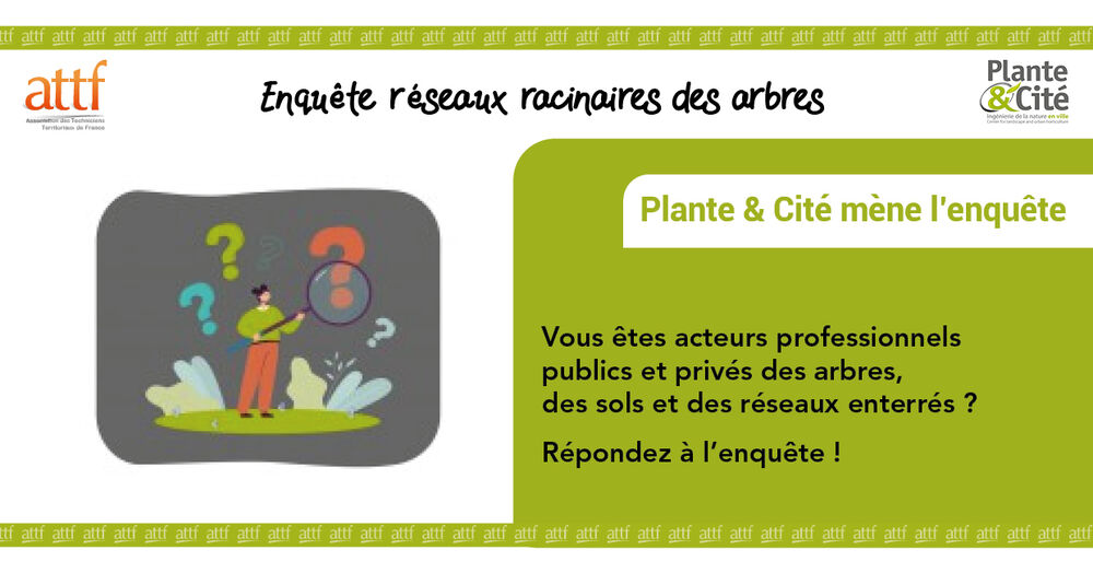 Enquête Plante&Cité