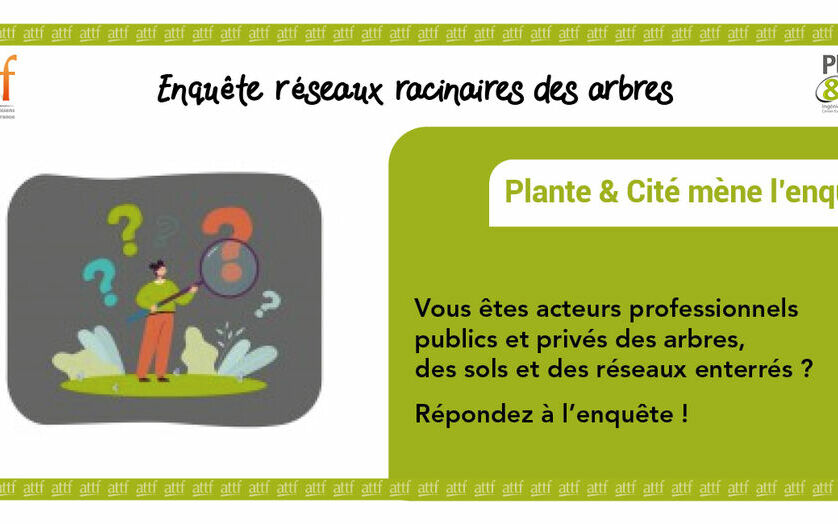 Enquête Plante&Cité