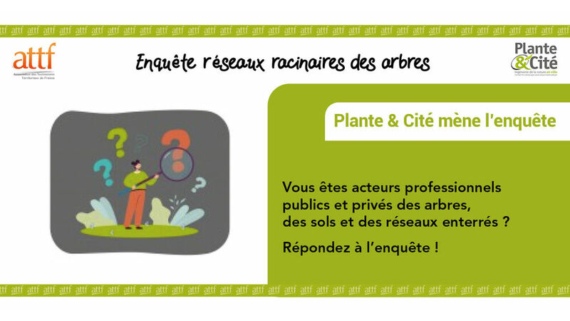 Enquête Plante&Cité