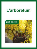 VISITE DE L’ARBORETUM NATIONAL DES BARRES – NOGENT-SUR-VERNISSON (45)